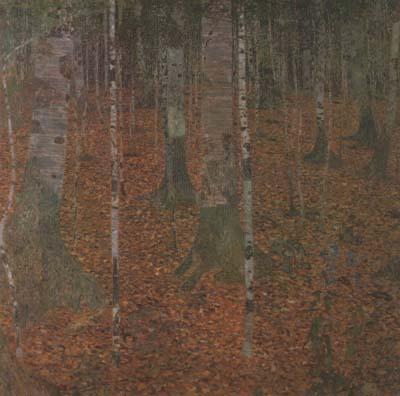 Gustav Klimt Birch Wood (mk20) Sweden oil painting art
